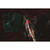 Fier de calcat Mesko MS 5031 3000 W Functie anti-picurare si auto-curatare, rosu/negru