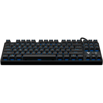Tastatura Savio Mechanical Gaming Keyboard SAVIO Tempest RX TKL Outemu BLUE USB QWERTY English Black