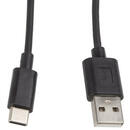 LANBERG USB CABLE 2.0 TYPE-C(M)-AM 1M, BLACK