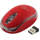 Mouse TITANUM TM120R USB Optic