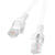 Lanberg PCU5-10CC-1500-W networking cable 15 m Cat5e U/UTP (UTP) White