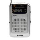 Portable radio N'oveen PR151 Silver