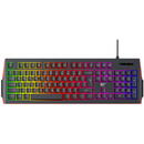 Tastatura HAVIT KB866L Iluminare RGB, Cu taste multimedia, Interfata USB, 462x147x29mm