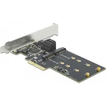DeLOCK PCIe 3P SATA + M.2 KeyB x4 LP 90499