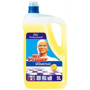 Chemia Mr. PROPER Professional Lemon, detergent lichid universal, 5 litri