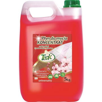 Chemia Detergent lichid universal, 5 litri, pentru toate tipurile de pardoseli, Teak - japanesse garden - r