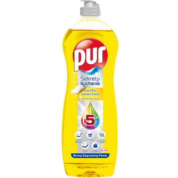 Pur Dishwashing Liquid Secrets Hand Care 750 ml