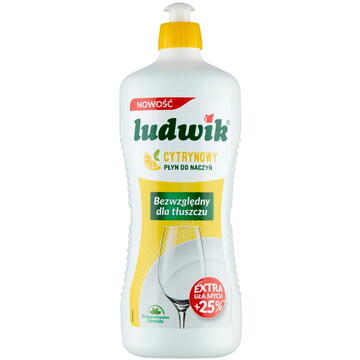 Ludwik Hypoallergenic Dishwashing Liquid 900 g