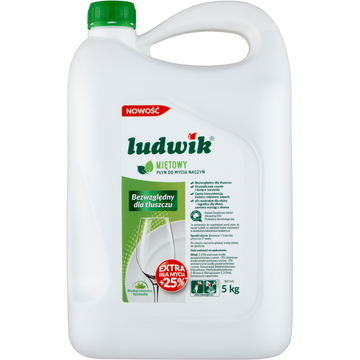 Ludwik Dishwashing Liquid Mint 5 kg