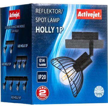 Activejet AJE-HOLLY 1P ceiling lamp
