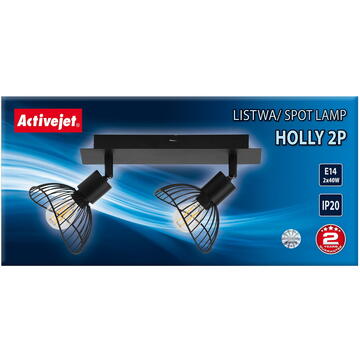 Activejet AJE-HOLLY 2P ceiling lamp