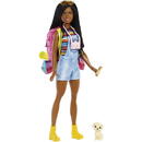 Barbie It takes two! Camping playset - Brooklyn doll, puppy and accessories