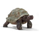 Schleich Wild Life Giant Tortoise - 14824