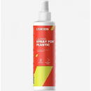 Spray curatare Canyon CNE-CCL22