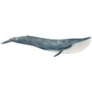 Schleich Wild Life Blue Whale - 14806