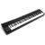 M-AUDIO HAMMER 88 MIDI keyboard 88 keys USB Black, White