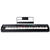 M-AUDIO Hammer 88 Pro MIDI keyboard 88 keys USB Black