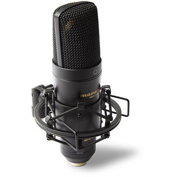 Microfon Marantz Professional MPM2000U - Mikrofon pojemnościowy USB