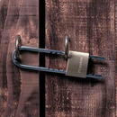 Lacat din alama solida MASTER LOCK 1950EURD, corp 50mm, clasa securitate 5/10, cheie