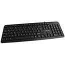 Tastatura Esperanza Norfolk EK139 Wired USB keyboard, Negru, USB, Cu fir