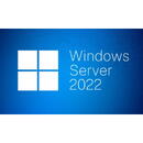Sistem de operare Microsoft SW OEM WIN SVR 2022 CAL/ENG 1PK 1CLT DEV R18-06412 MS