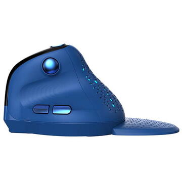 Mouse DeLux M618XSD, optic, wireless, albastru