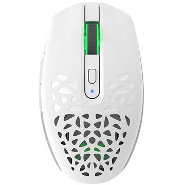 Mouse DeLux M820DC, 2 huse, 16000 dpi, Bluetooth/USB/2.4G, Alb