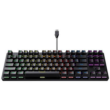 Tastatura Havit KB869L Tastatura Mecanica Gaming, Iluminare  RGB, USB, Cu fir, Negru, 87 taste