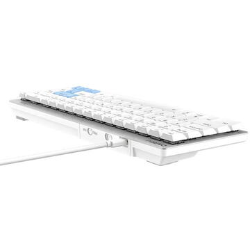 Tastatura Wireless mechanical keyboard Dareu EK868 Bluetooth Alb/Blue, cu fir sau Bluetooth