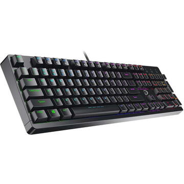 Tastatura Mechanical keyboard Dareu EK1280 RGB , Negru, USB ,Cu fir
