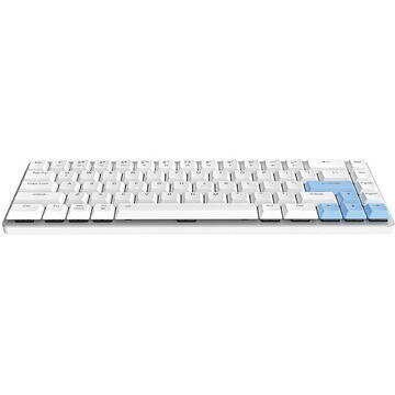 Tastatura Wireless mechanical keyboard Dareu EK868 Bluetooth (white&blue)