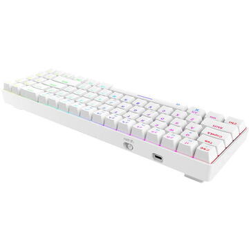 Tastatura Wireless mechanical keyboard Dareu EK871 Bluetooth + 2.4G RGB (white)