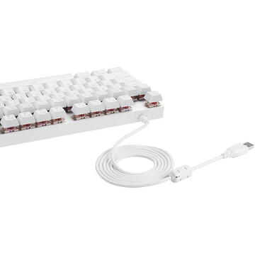 Tastatura Mechanical gaming keyboard Motospeed K82 RGB (white)