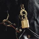 Lacat din alama solida MASTER LOCK 115EURD, corp 15mm, clasa securitate 2/10, cheie
