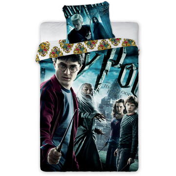 Faro Harry Potter 001 youth bedding 140x200cm + pillow 70x90cm