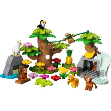 LEGO DUPLO Wilde Tiere Südamerikas (10973)
