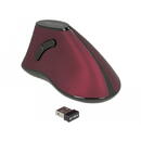 Mouse DELOCK ergonom.  2.4GHz , USB Grena