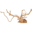 Diverse petshop ZOLUX Korzeń japoński Spider Wood 50-60 cm