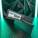 Memorie Patriot Signature 8GB DDR5 4800Mhz CL40