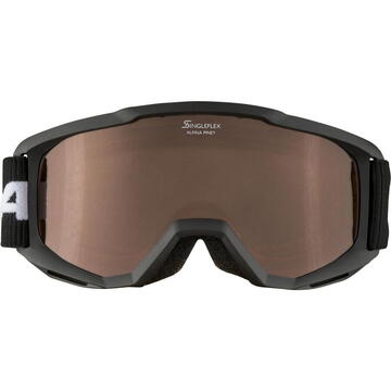 Echipament Ski Alpina Junior Piney Winter Sports Goggles Black Unisex