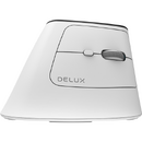 Mouse DeLux MV6 DB BT+2.4G alb