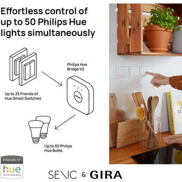 Senic Friends of Hue Smart Switch, switch (anthracite, three-pack)