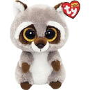 Ty Beanie Boo Oakie Raccoon Soft Toy (15 cm)