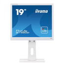 Monitor LED Iiyama B1980D-W1 19" 5ms VGA DVI