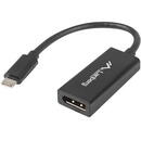 Lanberg AD-UC-DP-01 video cable adapter 0.15 m USB C DisplayPort Black