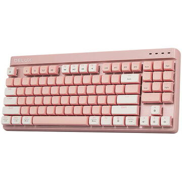 Tastatura Gaming Keyboard Delux KM18DB RGB (White&Pink)