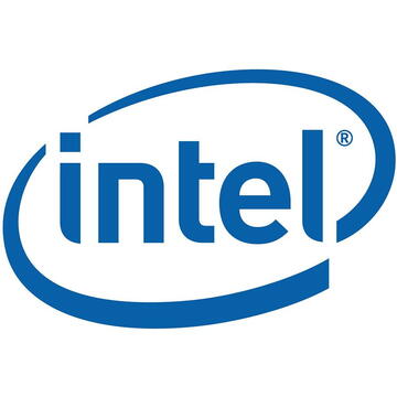 Intel SSDPE2KE032T8OS