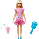Barbie HLL19 doll