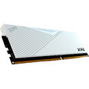 Memorie Adata XPG Lancer 16GB DDR5 5600MHz CL36 Single-Kit