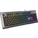 Tastatura Tastatura Genesis Rhod 500 RGB